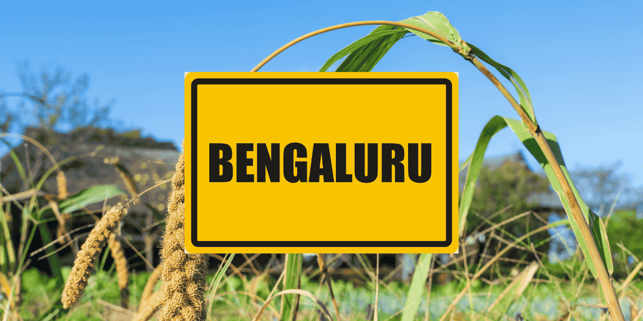 Millet Wholesale in Bengaluru: Why Direct Sourcing from Farmers Matters in 2026